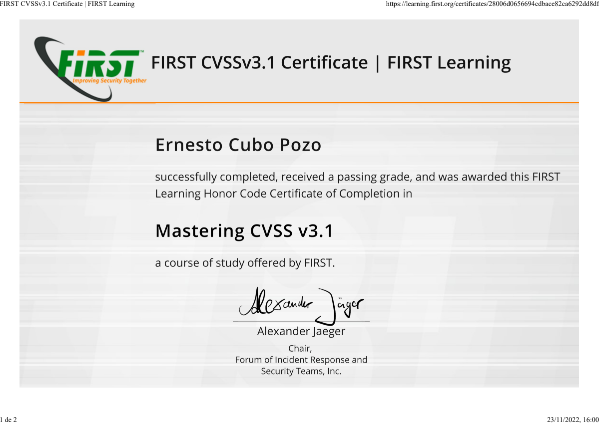 CVSS 3.1